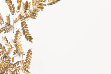 Beyaz arkaplanda altın dallar