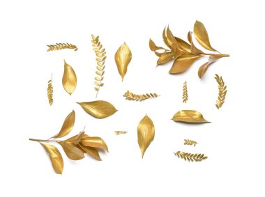 Beyaz arkaplanda farklı altın yapraklar