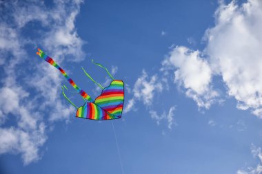 Mavi gökyüzünde uçan renkli uçurtma