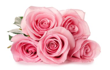 Beyaz arka planda güzel pembe güller