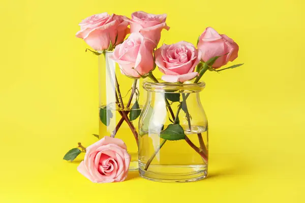 Beautiful Pink Roses Vases Color Background — Stock Photo, Image