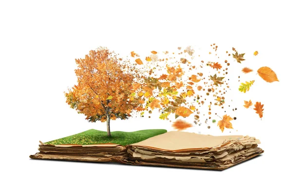 开一本魔法书 上面有成长的秋天树和白色背景的飘扬的树叶 — 图库照片