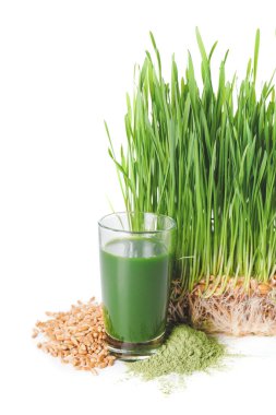 Beyaz arka planda taze buğday çimi suyu ve pudra.