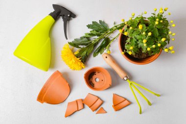 Kırık saksı ve arka planda bahçe aletleri