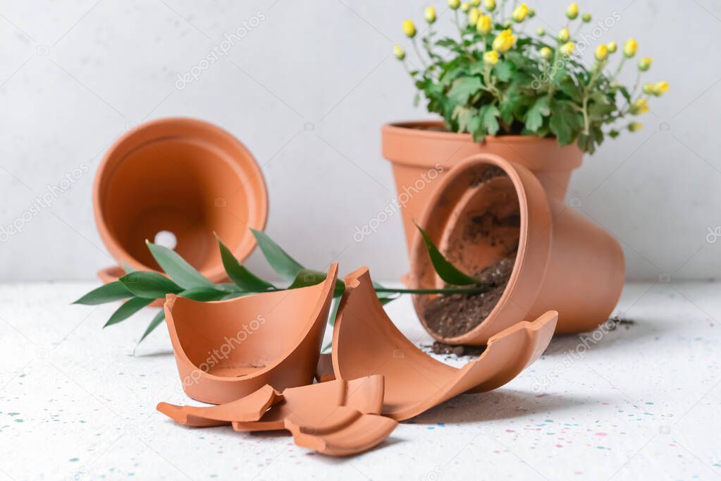 Broken and whole flower pots on light background