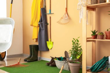 Ahırda bahçe malzemeleri ve ev bitkileri var.