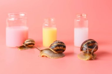 Renkli sümüklü kozmetik ürünleri ve salyangozlar