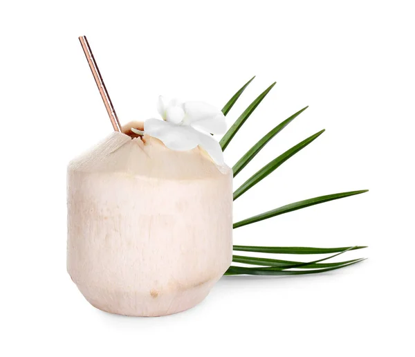Fresh Coconut White Background — Stock Photo, Image