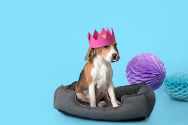 Renkli arka planda kağıt kaplamalı şirin köpek.