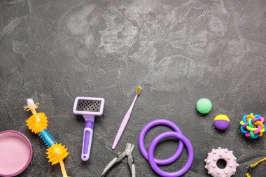 Koyu arka planda farklı evcil hayvan bakım araçları