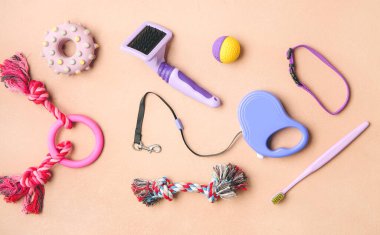 Renkli arka planda farklı hayvan bakım araçları