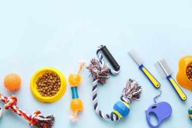 Renkli arka planda farklı hayvan bakım araçları