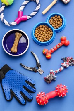 Renkli arka planda farklı hayvan bakım araçları