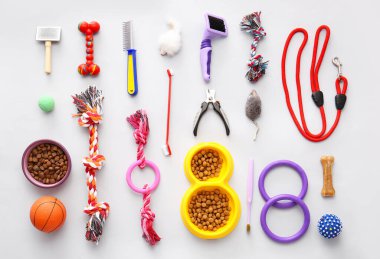 Hafif arka planda farklı hayvan bakım araçları