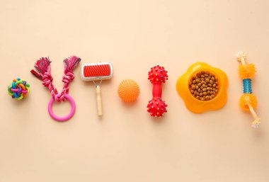 Renkli arka planda farklı hayvan bakım araçları