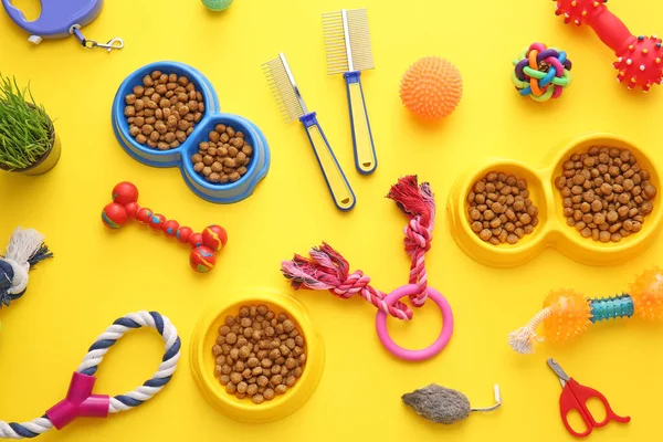 Different pet care accessories on color background