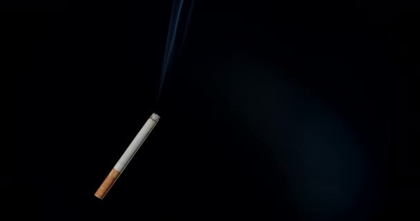 Cigarette Smoke Dark Background — Stock Video