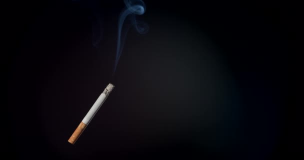 Cigarrillo Con Humo Sobre Fondo Oscuro — Vídeo de stock