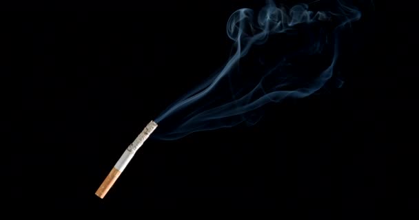 Cigarrillo Con Humo Sobre Fondo Oscuro — Vídeos de Stock