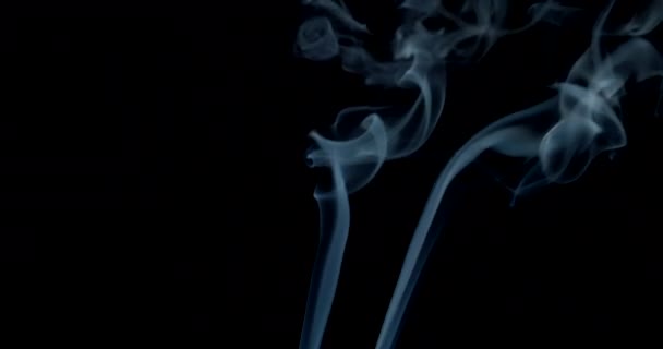 Cigarettafüst Sötét Háttérrel — Stock videók
