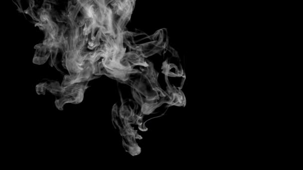 Καπνός Τσιγάρου Σκούρο Φόντο — Αρχείο Βίντεο