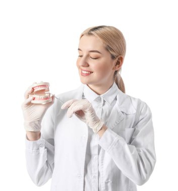 Beyaz arkaplanda plastik çene modeli olan kadın dişçi