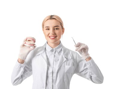 Beyaz arkaplanda plastik çene modeli olan kadın dişçi