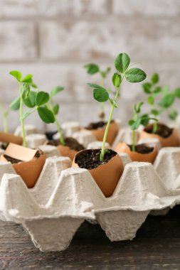 Tahta masanın üzerinde fidanlar ve bahçe aletleri olan karton kutu.