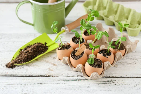 Cardboard Box Seedlings Gardening Tools Wooden Table — Stock Photo, Image