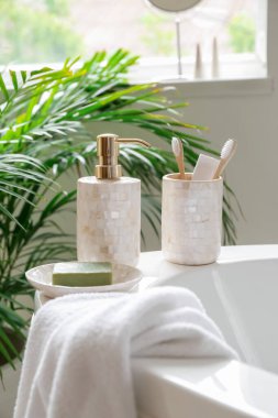 Banyonun içinde diş fırçası olan sabun.