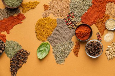 Renk arkaplanındaki baharatlardan oluşan dünya haritası