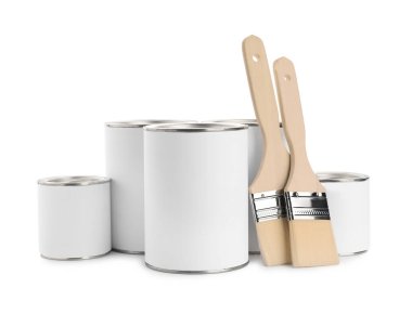 Beyaz arka planda boya ve fırça kutuları