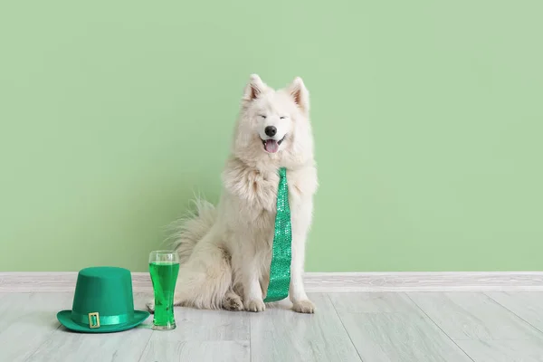 Cute dog with green necktie, hat and beer near color wall. St. Patrick\'s Day celebration