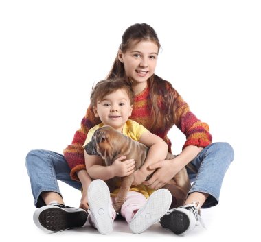 Beyaz arka planı olan tatlı kızlar.