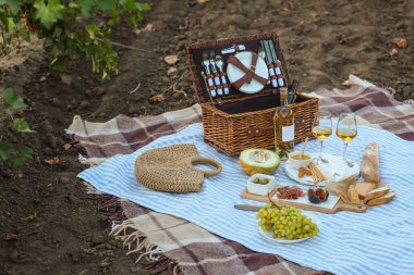 Üzüm bağında romantik piknik için lezzetli şarap ve atıştırmalıklar.