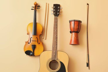 Different musical instruments on color background