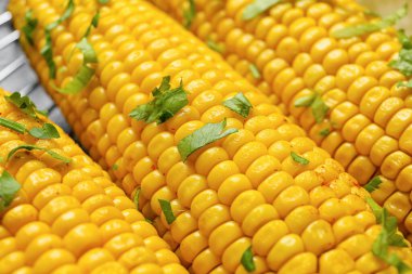 Lezzetli mısır koçanları, yakın plan.