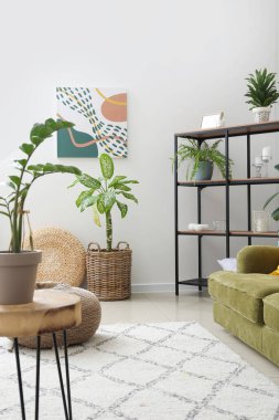 Oturma odasının iç tarafındaki bitkiler.