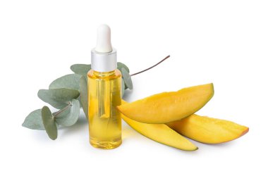 Beyaz arka planda gerekli yağ, okaliptüs ve mango parçaları.