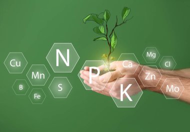 Erkek eller genç bitkiyi tutuyor ve arka planda belirtilmiş bileşenleri olan toprak yığını