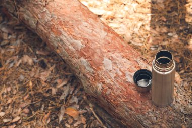 Ormanda sıcak çay ile termos