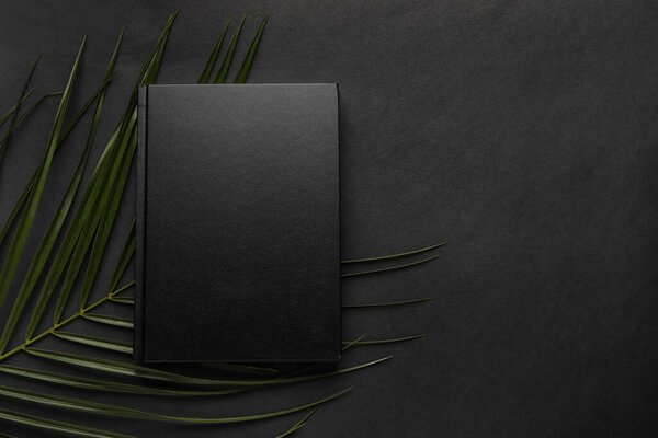 Пустая книга и пальмовый лист на темном фоне