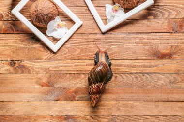 Dev Achatina salyangozu, ağaçtan arka planda çiçekler ve hindistan cevizleri.