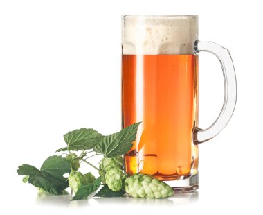 Beyaz arka planda bir bardak taze bira.