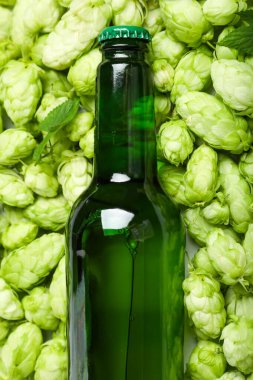 Bir şişe taze bira, yakın plan.