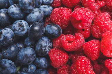 Arka planda farklı taze böğürtlen