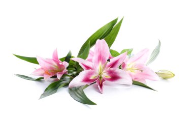 Beyaz arkaplanda güzel zambaklar