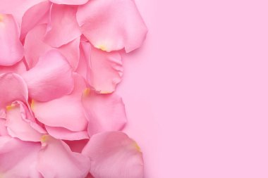 Renkli arkaplanda güzel pembe gül yaprakları