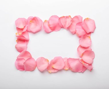 Beyaz arka planda güzel pembe gül yapraklarından yapılmış çerçeve