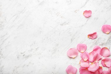 Açık arkaplanda güzel pembe gül yaprakları